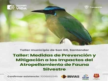 Taller: medidas de prevención y mitigación a los impactos del atropellamiento de fauna silvestre