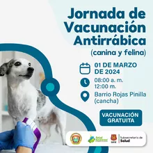 Jornada de vacunación antirrábica (Canina y felina) Barrio Rojas Pinilla