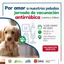 Jornada de vacunación antirrábica canina y felina Sector Villa Olímpica