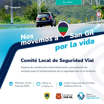 Comité Local de Seguridad Vial