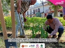 Hicimos siembra por la vida en el parque principal