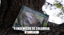 Libros sobre San Gil: aves, hormiga culona real, historia, veredas y provincia de Guanentá