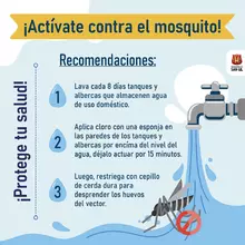 Cómo prevenimos el dengue en casa