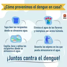 Cómo prevenimos el dengue en casa