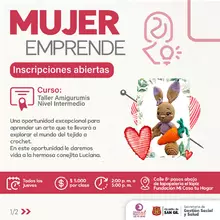 Mujer emprende curso Taller Amigurumis nivel intermedio