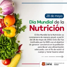 28 de mayo Día Mundial de la Nutrición