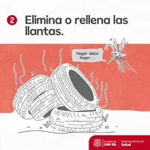 Para que no nos piquen seis consejos