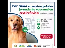 Jornada de vacunación antirrábica canina y felina Sector Porvenir