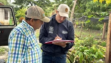 ALCALDÍA DE SAN GIL ENTREGÓ 500 PLÁNTULAS DE CACAO PARA PARCELAS DEMOSTRATIVAS