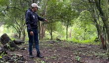 ALCALDÍA DE SAN GIL ENTREGÓ 500 PLÁNTULAS DE CACAO PARA PARCELAS DEMOSTRATIVAS