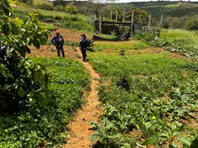 CONTINUA EL PROGRAMA DE SEGURIDAD ALIMENTARIA