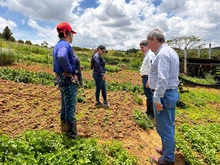 CONTINUA EL PROGRAMA DE SEGURIDAD ALIMENTARIA