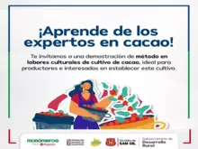 Aprende de los expertos en cacao