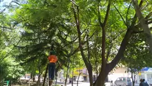 Se realiza nuevamente una limpieza en el sector Malecón