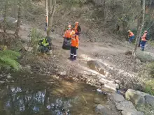 Día Mundial de los Humedales