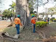 Acciones que aportan al desarrollo del Municipio