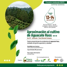 Invitación al evento Aproximación al cultivo de Aguacate Hass