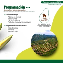 Invitación al evento Aproximación al cultivo de Aguacate Hass