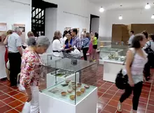 Museo guane