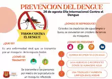 26 de agosto Día Internacional contra el Dengue