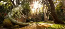 Postales que sobresalieron en el Concurso de Fotografía para Jóvenes en el Parque Natural el Gallineral