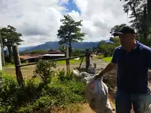 Se realizó a satisfacción la jornada de recolección de Residuos Sólidos rurales