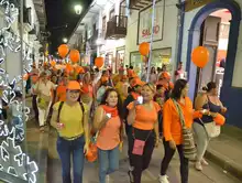 Se realizó la marcha Naranja