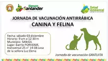 Jornada de Vacunación Antirrábica Canina y Felina