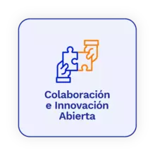 Colaboracion  e innovación