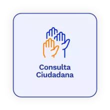 Consulta ciudadana