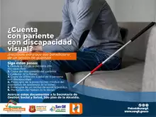 Cuenta con pariente con discapacidad visual