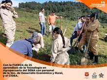 Sembramos nuevos bosques