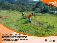 Sembramos nuevos bosques