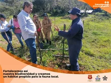 Sembramos nuevos bosques