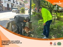 Operativos de control y seguridad con inspecciones