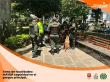 Operativos de control y seguridad con inspecciones