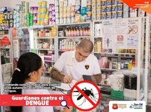 Si el mosquito le pica, no se automedique, recurra al médico