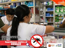 Si el mosquito le pica, no se automedique, recurra al médico