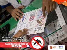 Si el mosquito le pica, no se automedique, recurra al médico