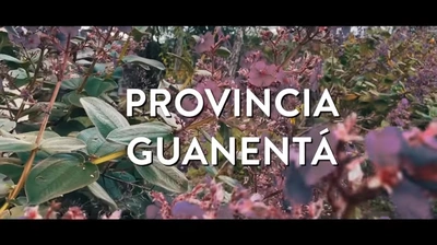 Provincia Guanentá