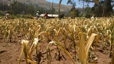 Alcaldía de San Gil estructura convenio para asegurar cosechas de pequeños productores