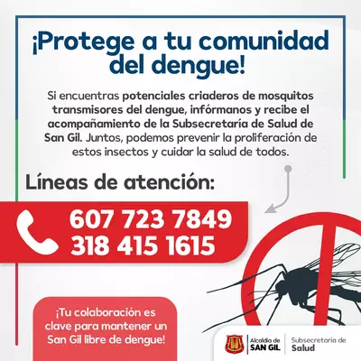¡Protege a tu comunidad del dengue!