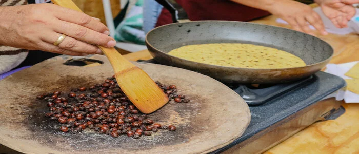 Un nuevo evento cultural para San Gil: así fue el primer festival de la hormiga culona real