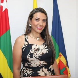 Diana Marcela Villarreal Baéz