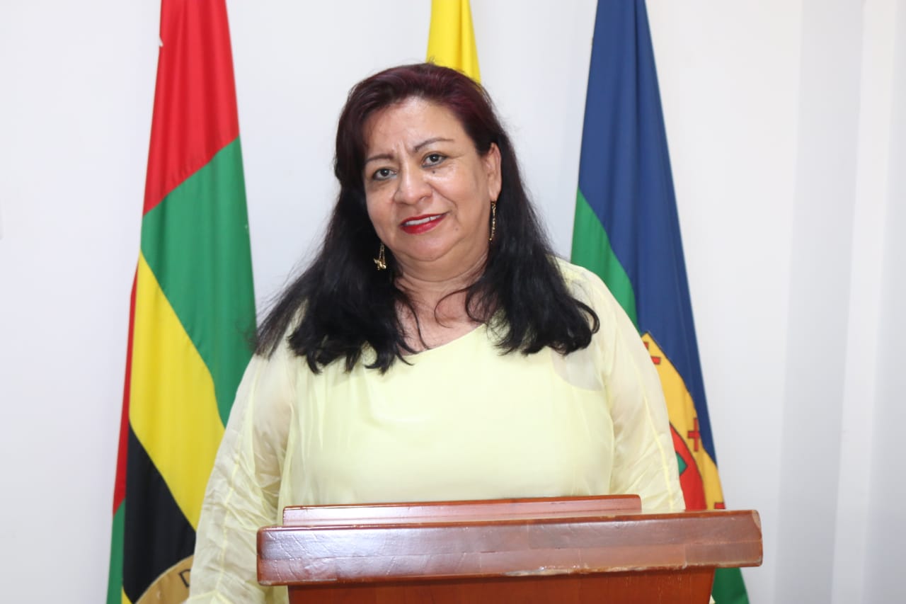 Yaneth Patricia Pinzón Ayala. Secretaria de Gobierno